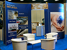 Large and Custom Exhibits